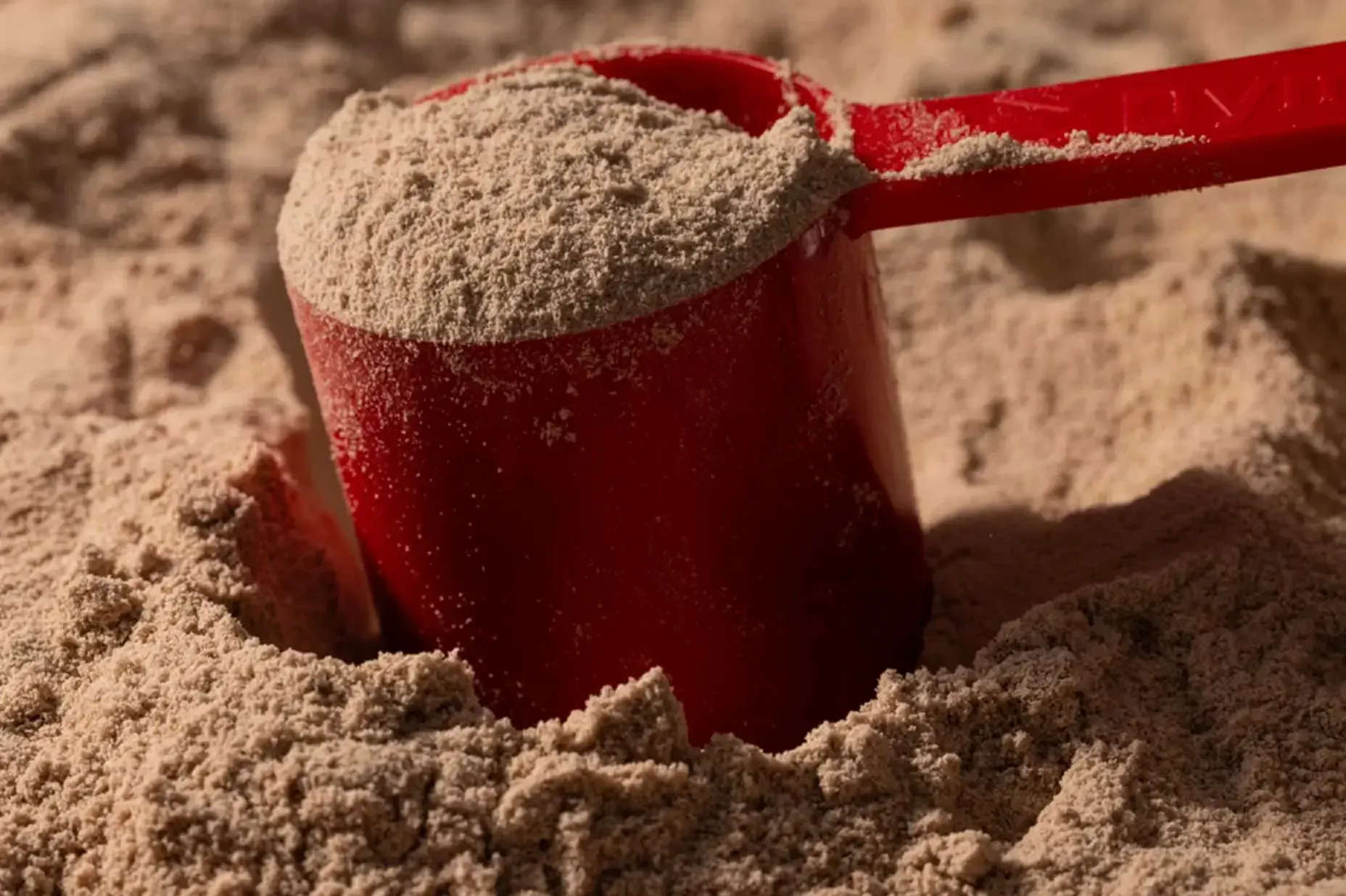 3 What Do Grams Per Scoop and Protein Per Serving Actually Mean Blog