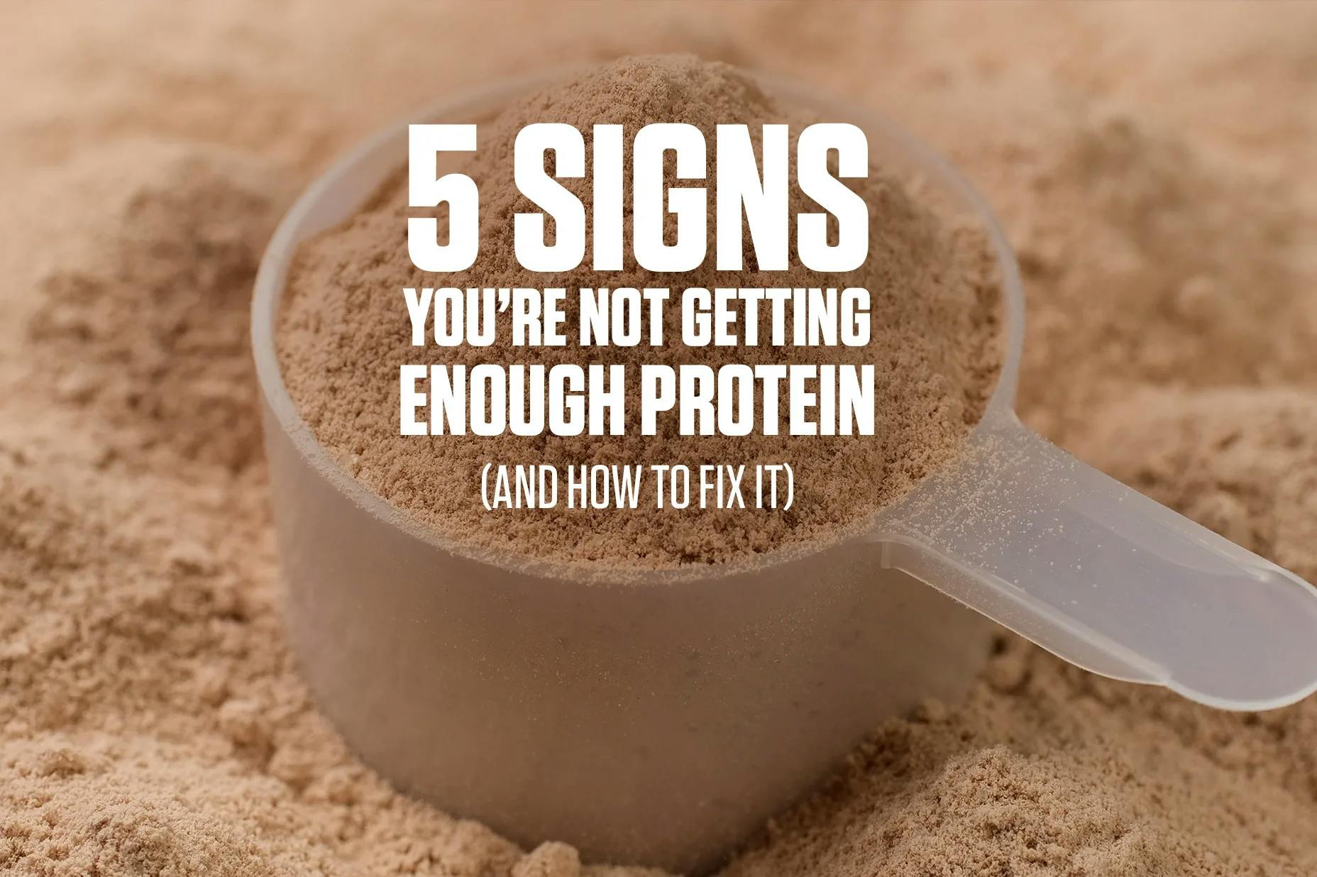 5 Signs Youre Not Getting Enough Protein
