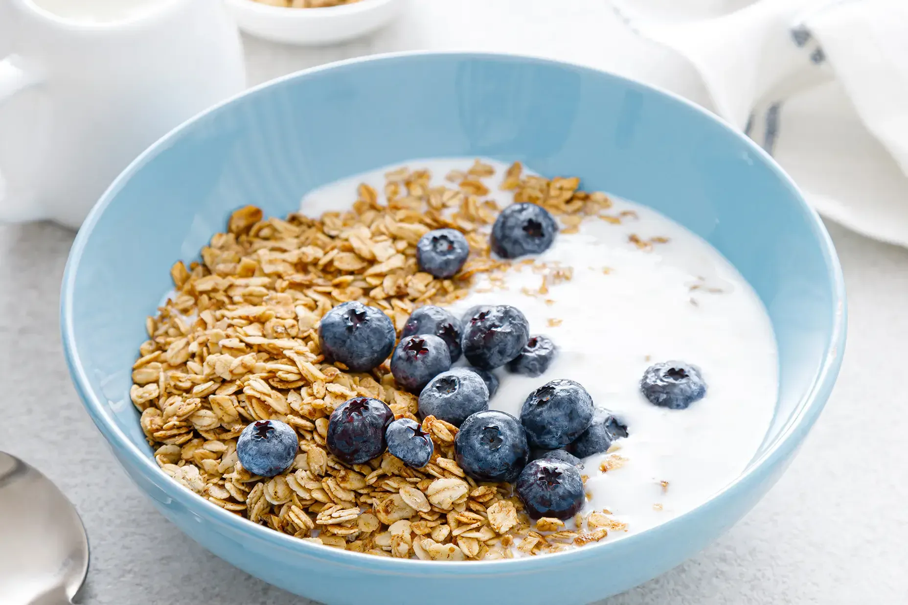 Blueberry Oats Protein Bowl