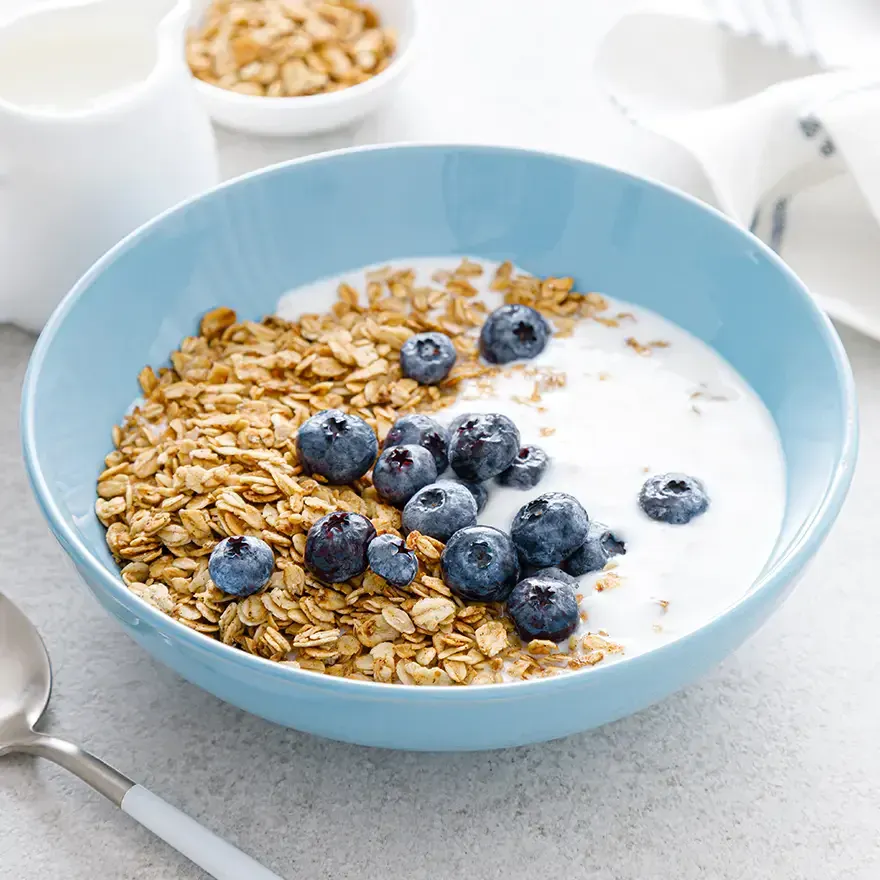 Blueberry Oats Protein Bowl