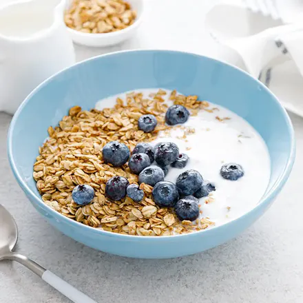 Blueberry Oats Protein Bowl
