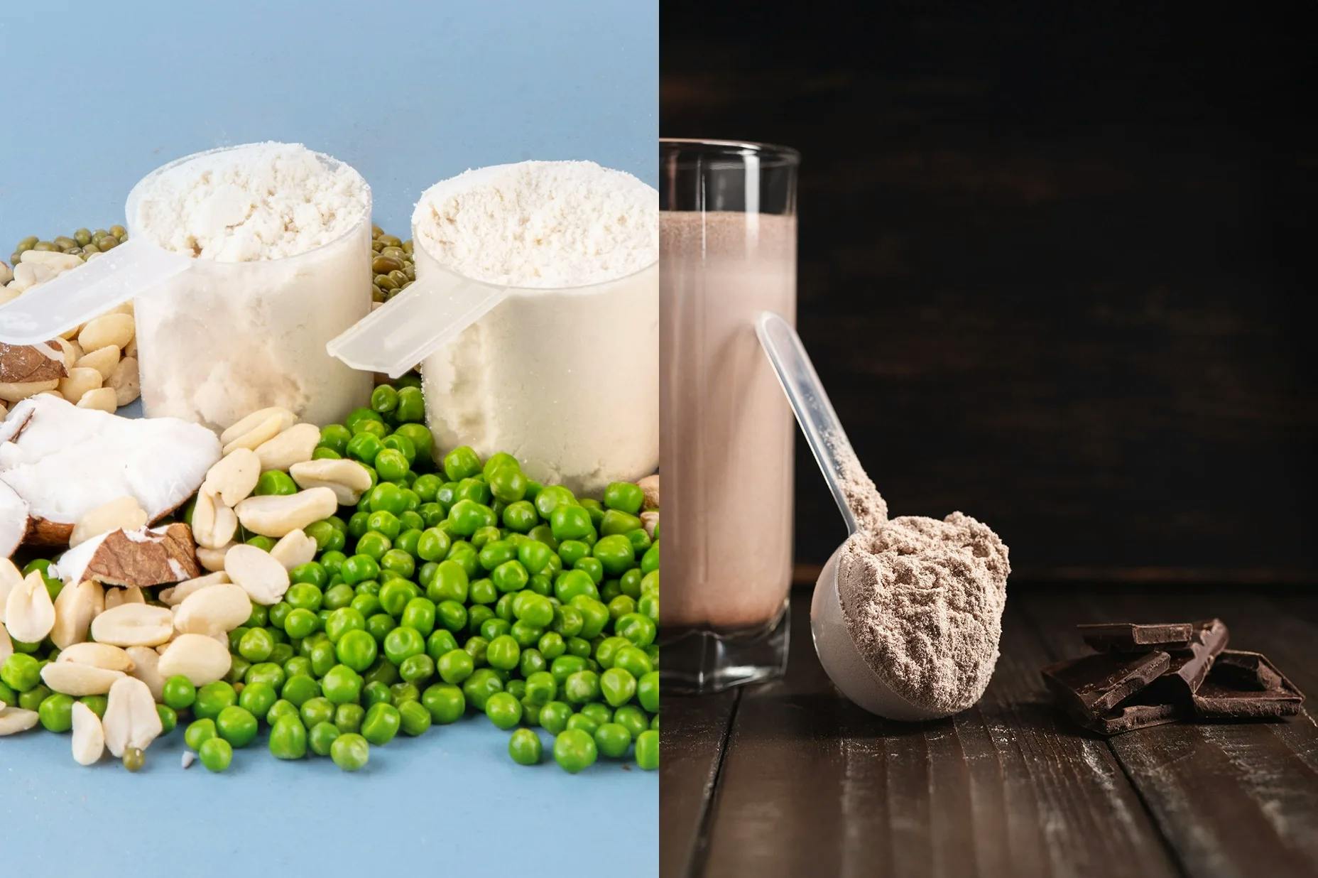 Whey Protein vs Plant Protein
