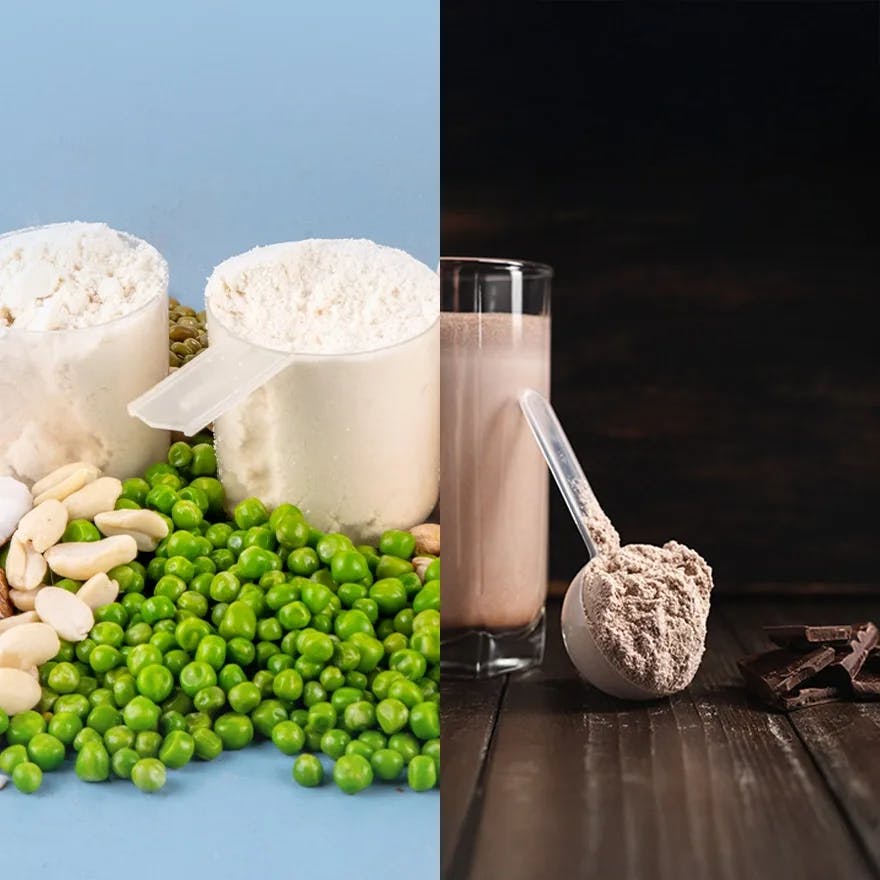 Whey Protein vs Plant Protein