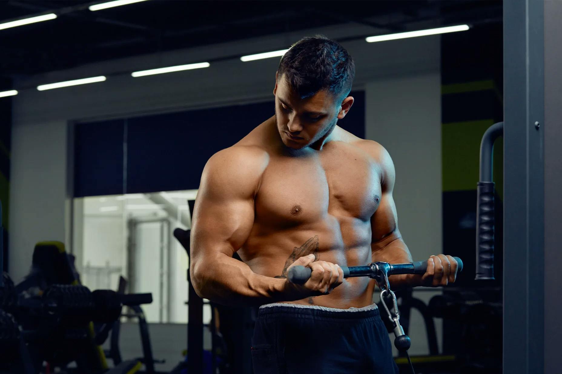 Why Hydrolyzed Whey Protein Is a Total Game Changer for Your Gains